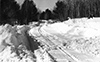 Miscellaneous - 1940's: A Winter Two Track Trail
